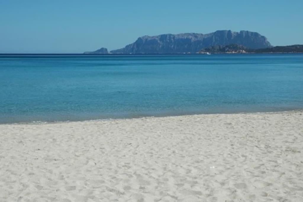 올비아 Sardegna Casa A 250 Metri Dal Mare Con Piscina 아파트 외부 사진